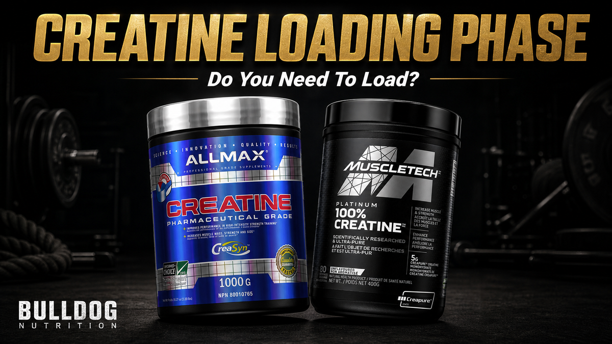 Creatine loading phase guide — Allmax and MuscleTech Creapure supplements on dark background with gold text
