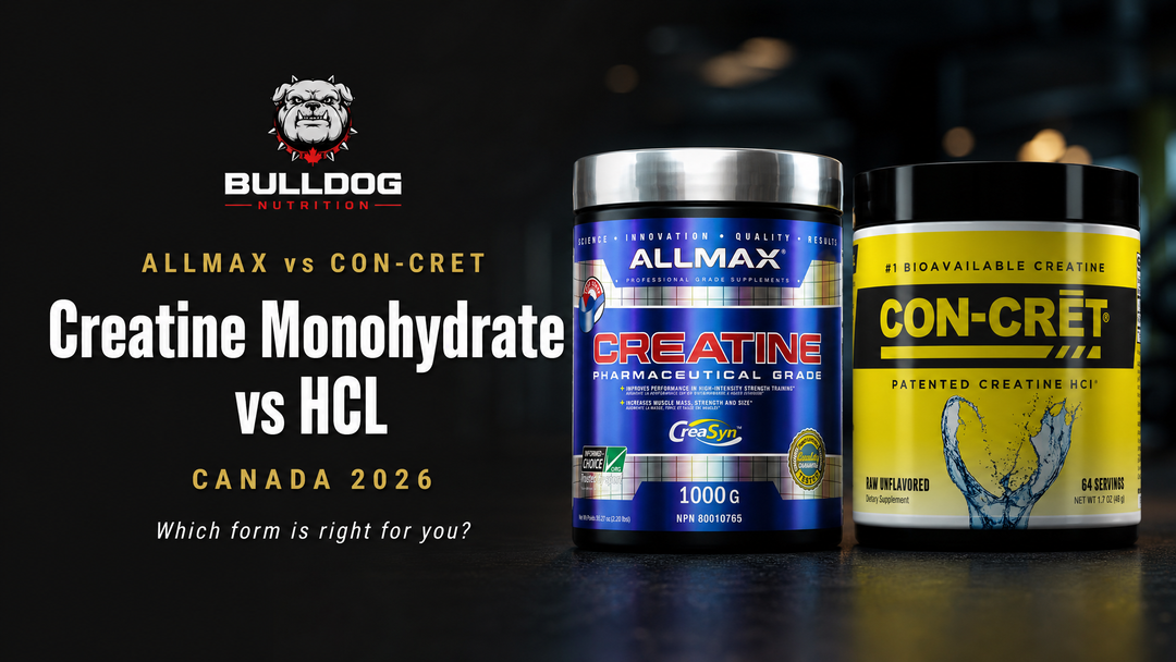 Creatine Monohydrate vs HCL Canada 2026 comparison guide — Bulldog Nutrition