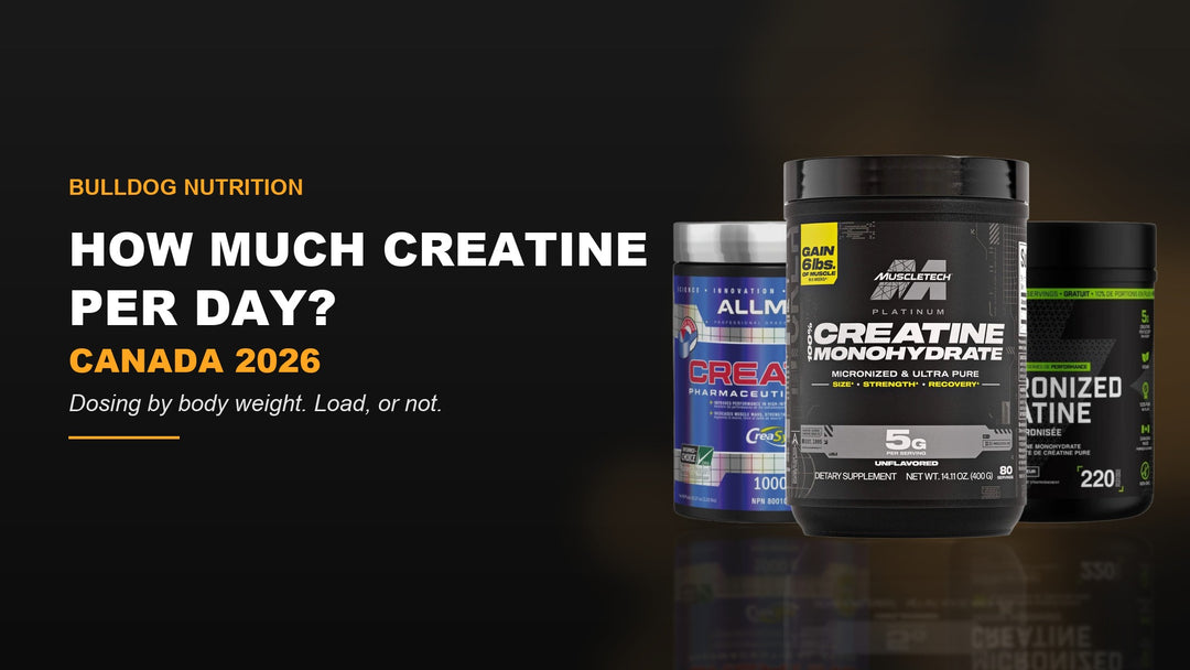 How much creatine per day — Allmax, MuscleTech Platinum and Bull Nutrition creatine monohydrate tubs, Canada 2026