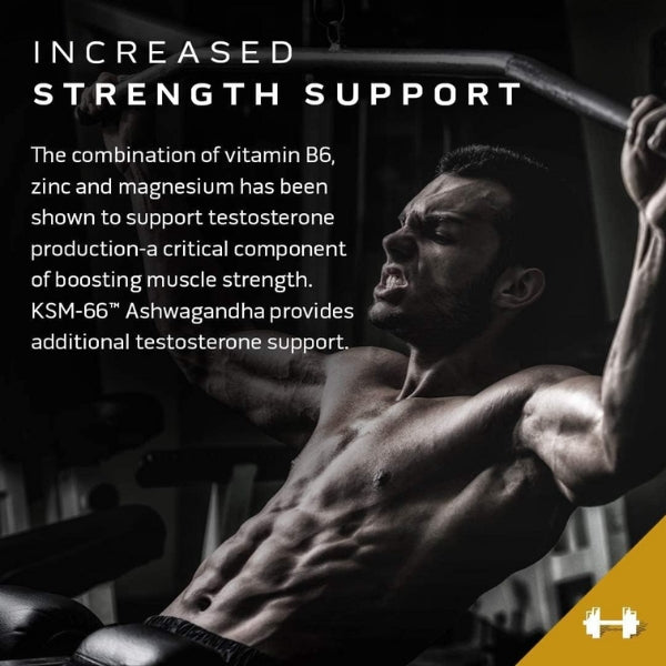 Muscletech Test HD Elite Strength Support